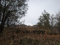 nte Cagliato-20110220 006